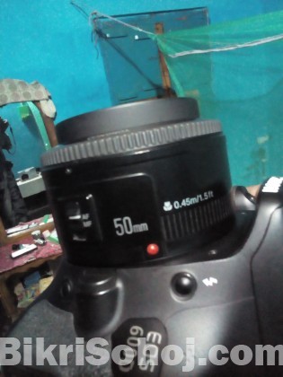 Canon Prime lens  18-50 mm Ft.1.8